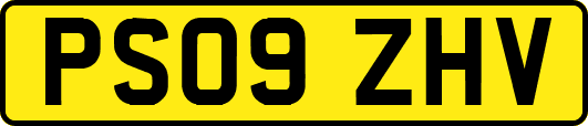 PS09ZHV