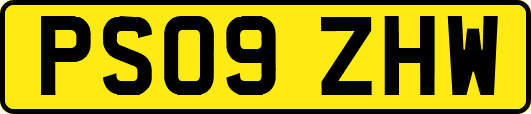 PS09ZHW