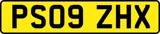 PS09ZHX