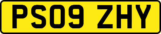 PS09ZHY