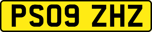 PS09ZHZ