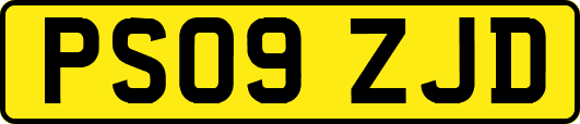 PS09ZJD