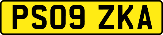 PS09ZKA