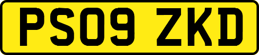 PS09ZKD
