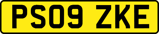 PS09ZKE
