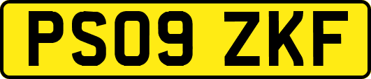 PS09ZKF