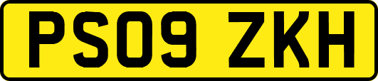 PS09ZKH