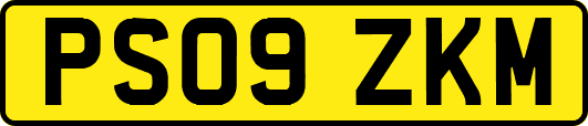 PS09ZKM