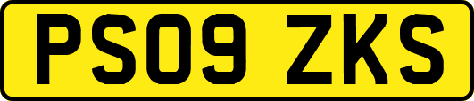 PS09ZKS