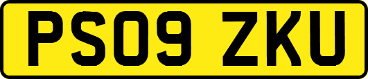 PS09ZKU