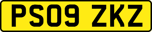 PS09ZKZ