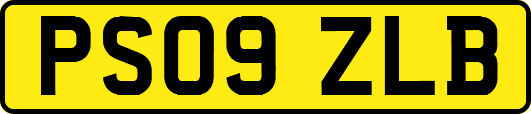 PS09ZLB