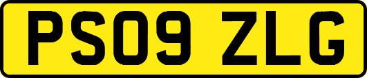 PS09ZLG
