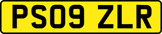 PS09ZLR