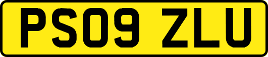 PS09ZLU