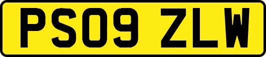 PS09ZLW