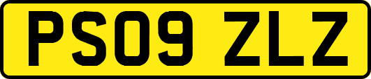 PS09ZLZ