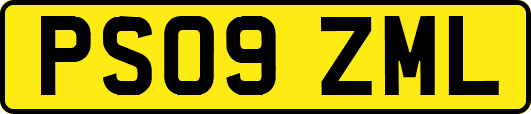 PS09ZML