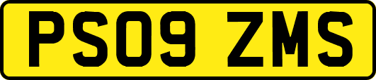 PS09ZMS