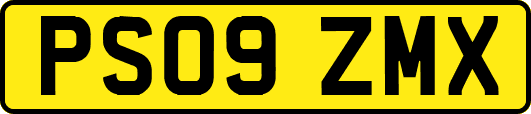 PS09ZMX