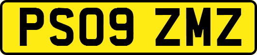 PS09ZMZ