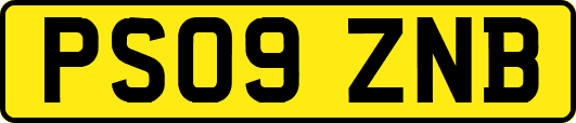PS09ZNB
