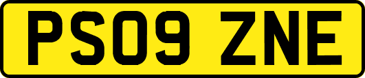 PS09ZNE