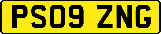 PS09ZNG