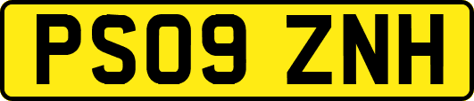 PS09ZNH