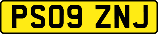 PS09ZNJ
