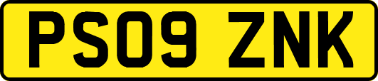 PS09ZNK