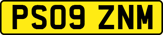 PS09ZNM