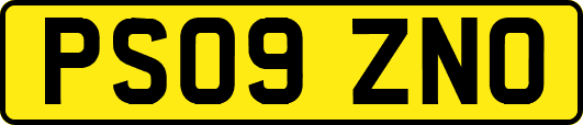 PS09ZNO
