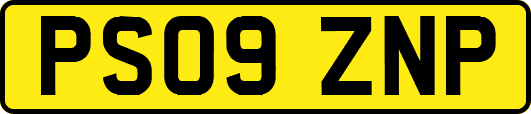 PS09ZNP