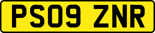 PS09ZNR