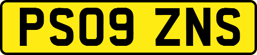 PS09ZNS