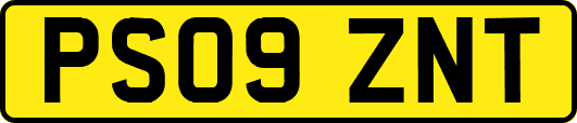 PS09ZNT