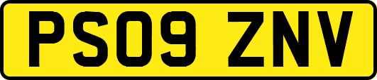 PS09ZNV