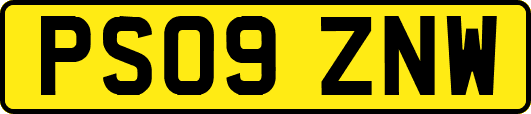 PS09ZNW