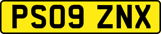 PS09ZNX