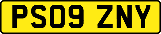 PS09ZNY