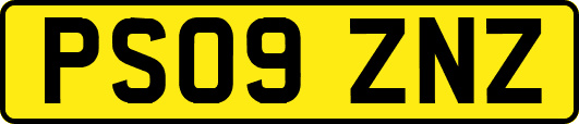 PS09ZNZ
