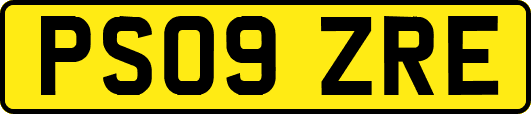 PS09ZRE