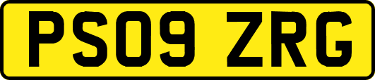 PS09ZRG