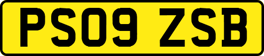 PS09ZSB