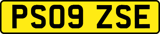 PS09ZSE