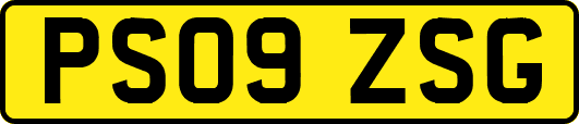 PS09ZSG