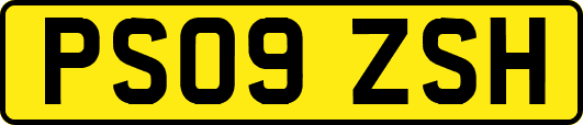 PS09ZSH
