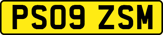 PS09ZSM
