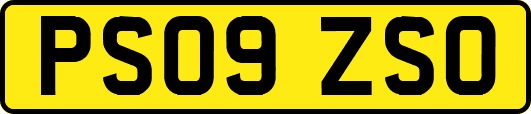 PS09ZSO